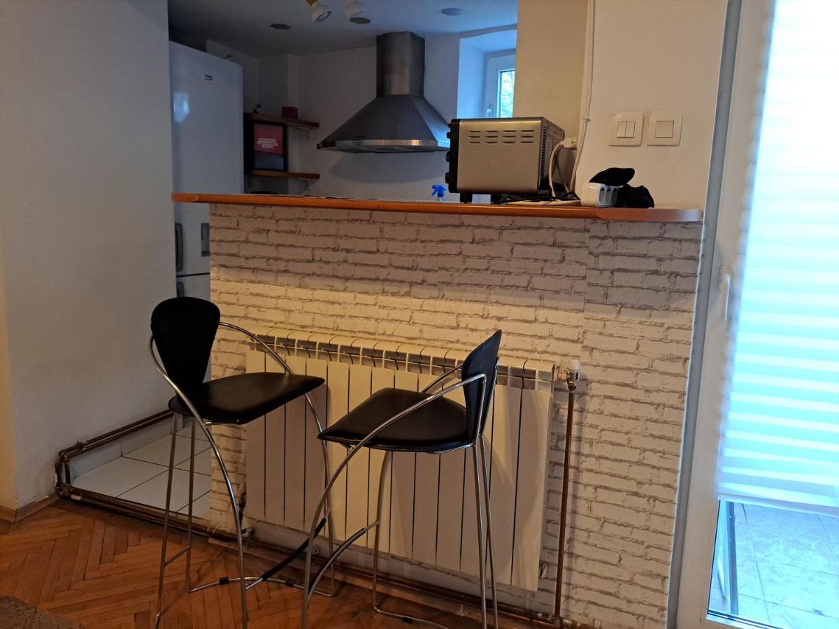 Downtown Apartment Piata Romana Bükreş Dış mekan fotoğraf